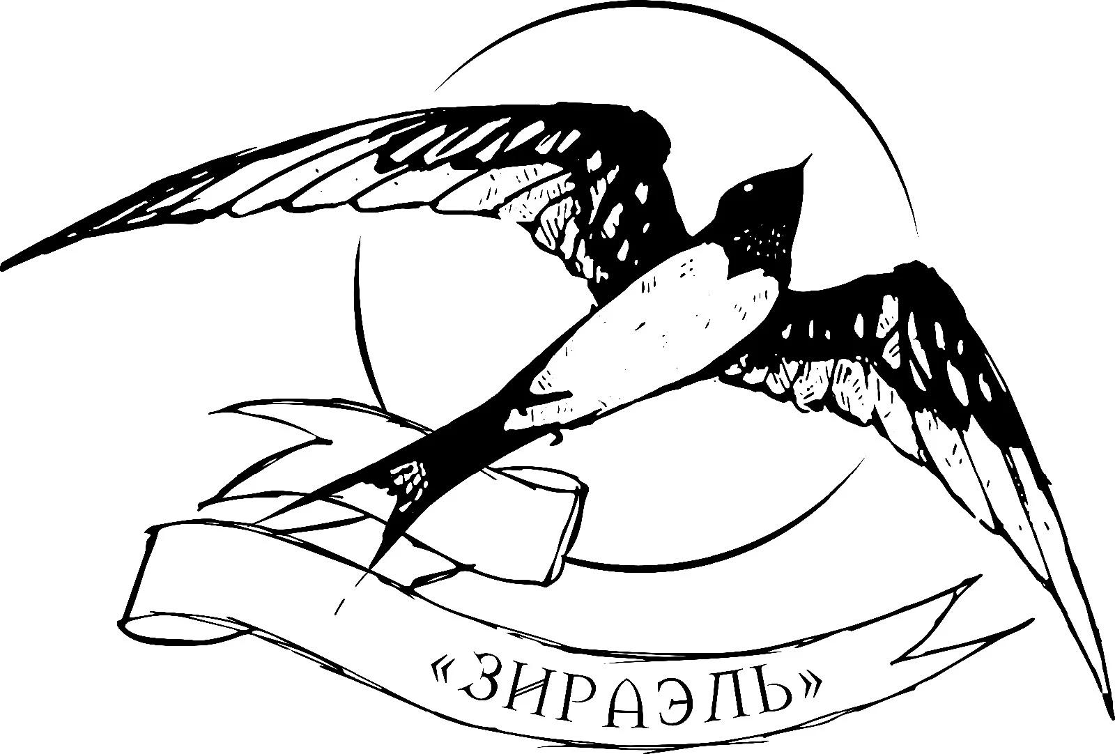 спецодежда, рубашки , дождевики