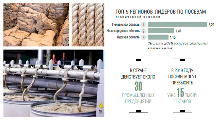 В Московской области начнут выращивать техническую коноплю