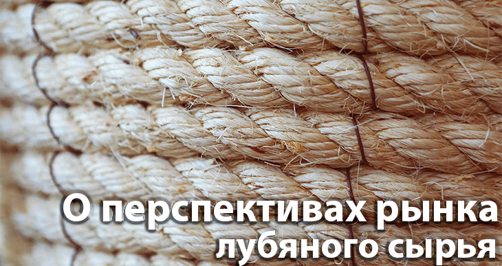 О перспективах рынка лубяного сырья