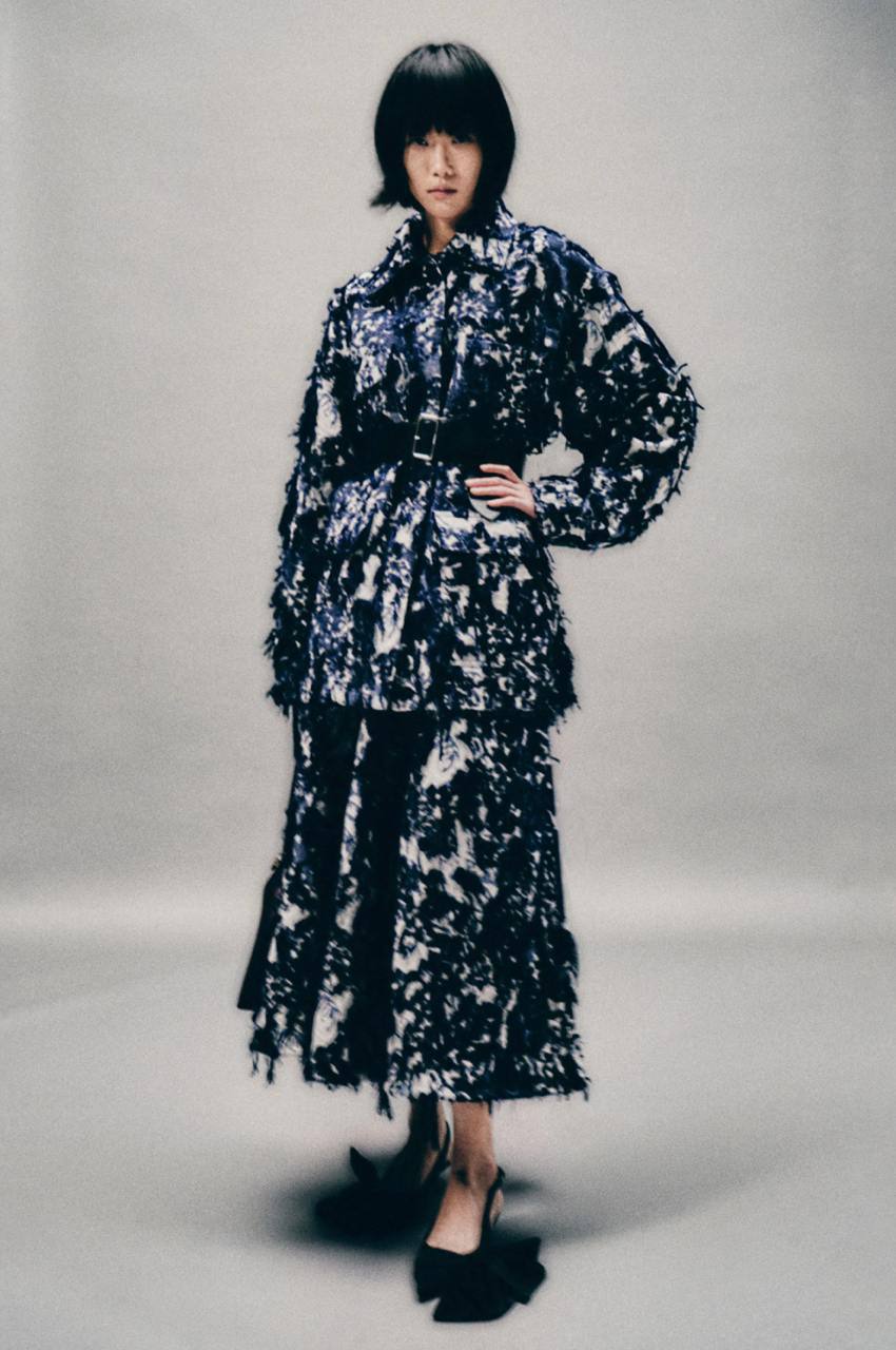 Изящный pre-fall следующего года вышел
