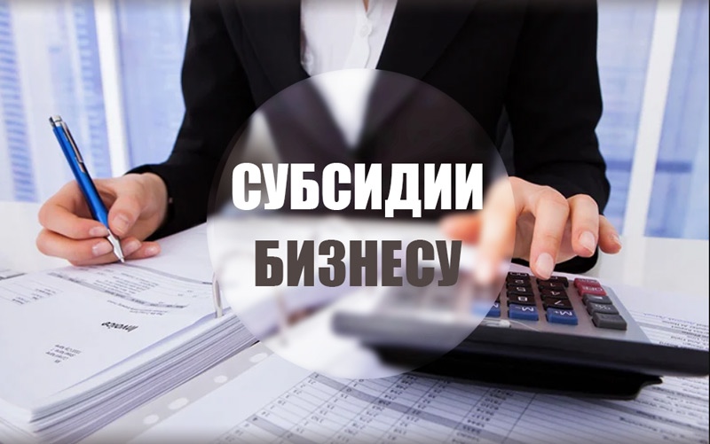 Правила и перечень требований к системообразующим предприятиям для предоставления государственных субсидий