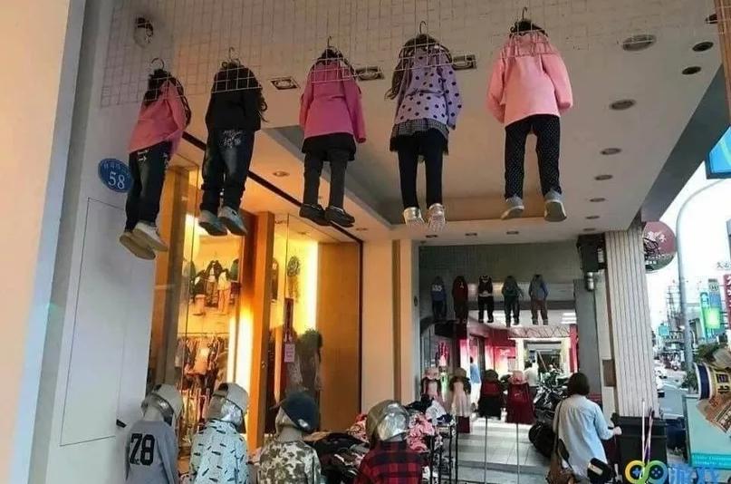 Fashion муравейник или жизнь «модных» насекомых. «Скаут-Мода» наше все!