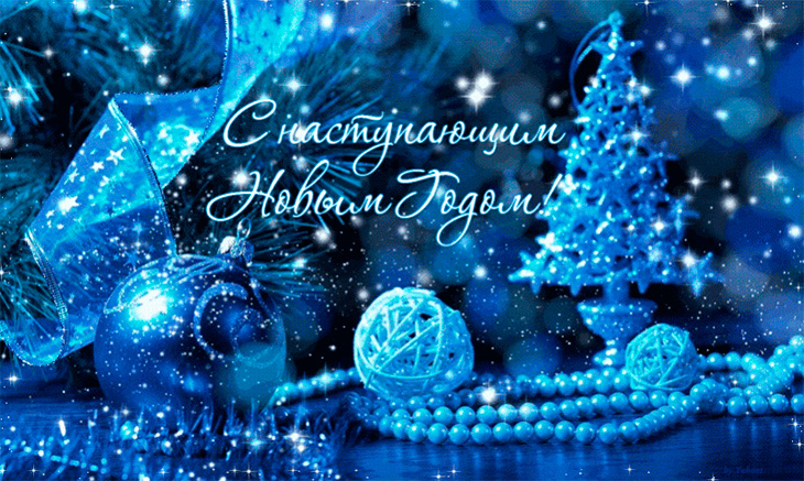 С Новым годом, дорогие друзья!