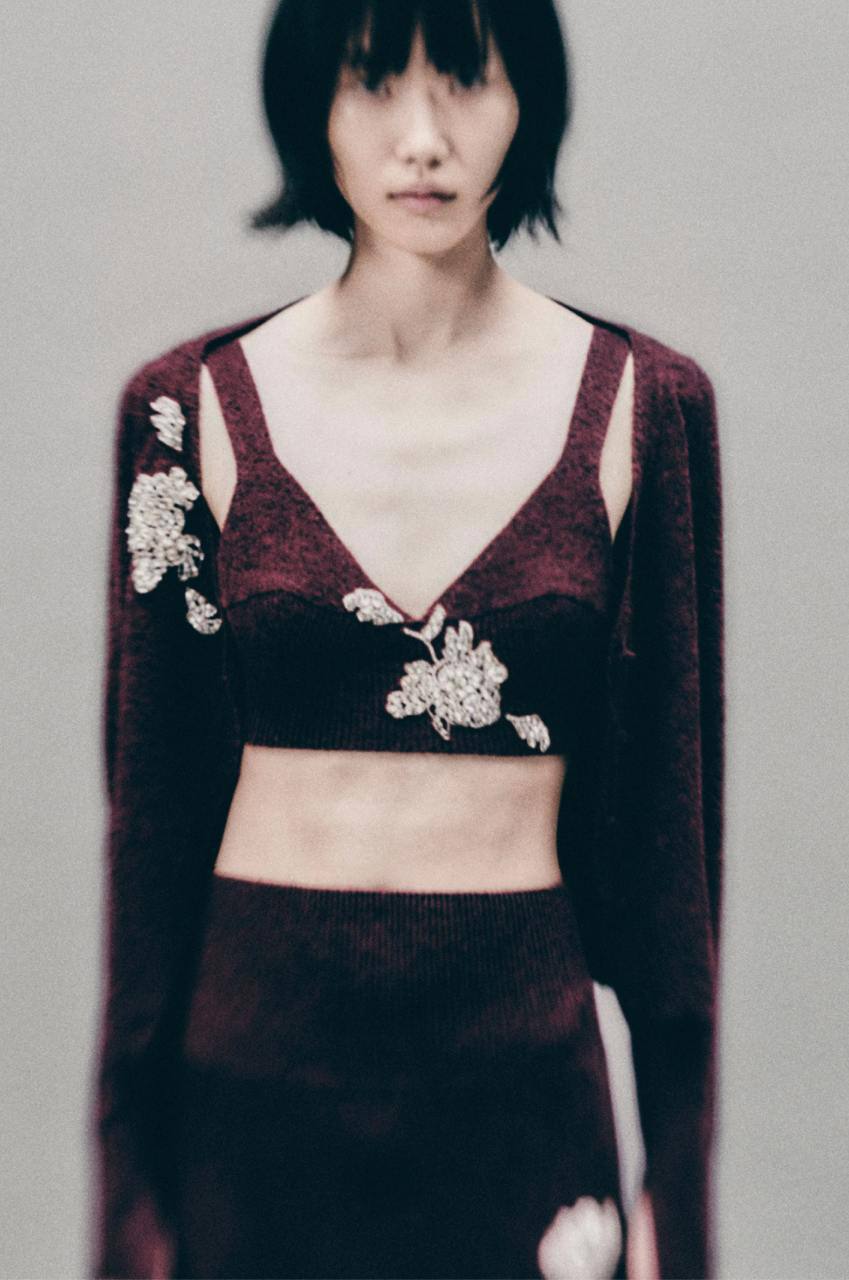 Изящный pre-fall следующего года вышел
