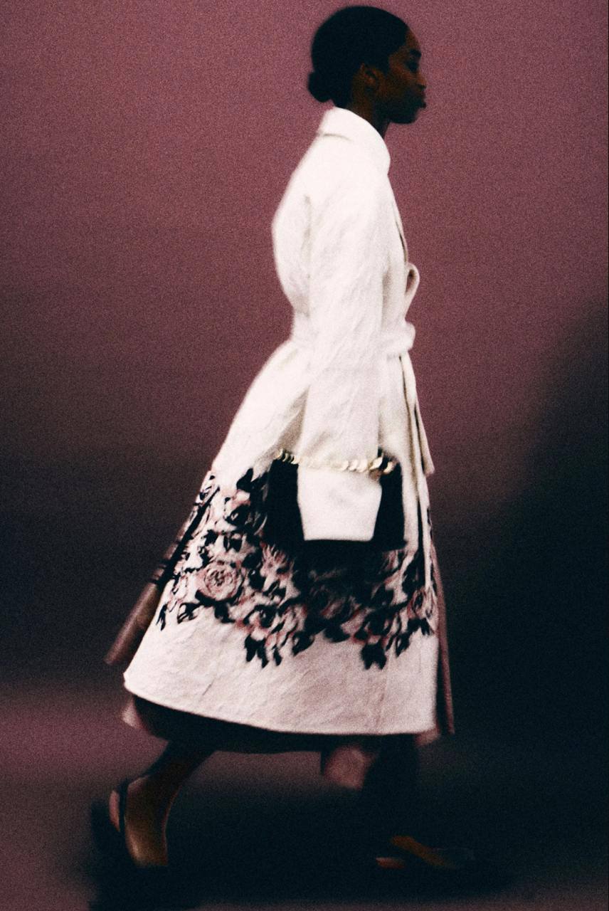 Изящный pre-fall следующего года вышел
